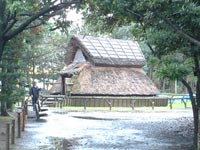 �o�C���